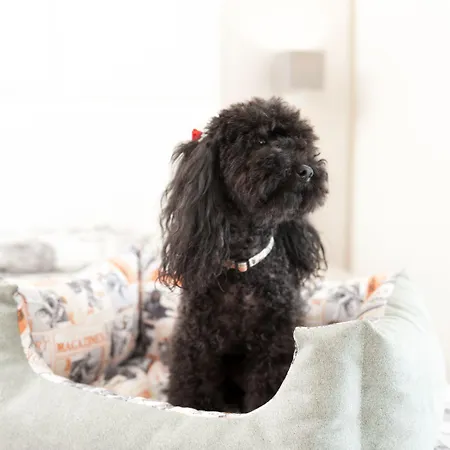 Battelli Only Adults 3*